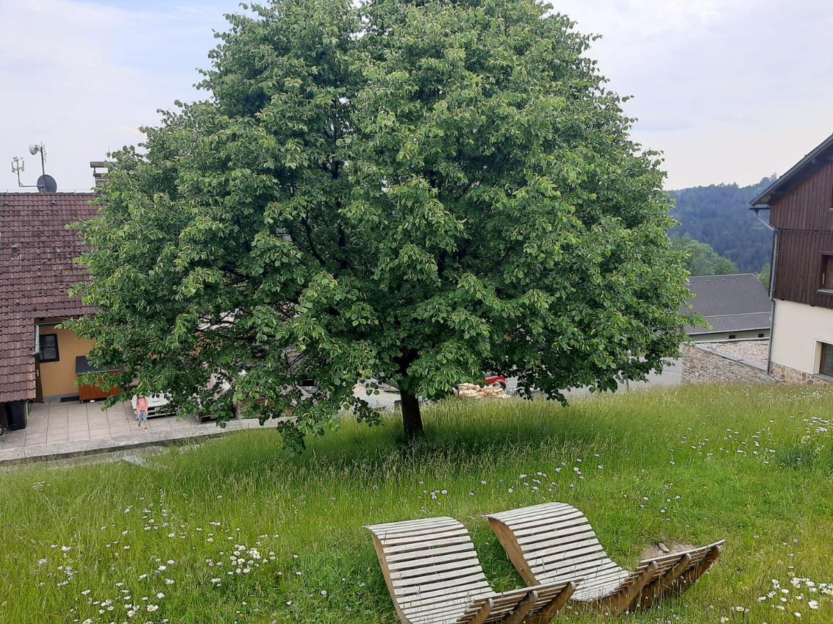 Na Budarce Paseky nad Jizerou Exterior photo